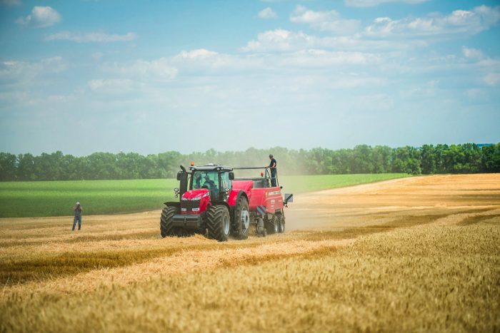 День поля з технікою Massey Ferguson в Полтавській області – фото 43053