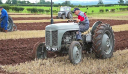 Massey Ferguson відзначив 70 річницю випуску «Маленького сірого Ферджі»