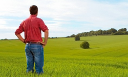 AGCO про підсумки діяльності за 2014